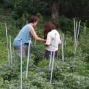 들뫼민박 이미지