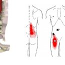 춘양삼성의원 이미지