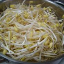 도레미식당 이미지