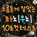 좌뇌 우뇌 10초 컷테스트 이미지