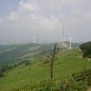 삼양농장 이미지