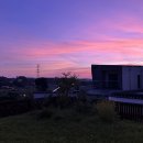 레몬우디홈 이미지