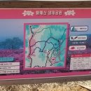 (주)양지약품 이미지