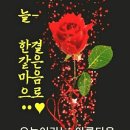 눈부시게 이미지