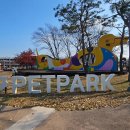 펫인더파크 이미지