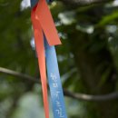 한티가는길 이미지