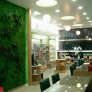 웰빙약국 이미지