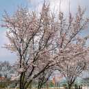 옥동근린공원 네이버블로그