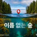 미래카본주식회사 화이트페이퍼