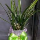 축산농협미래부연합사료 이미지