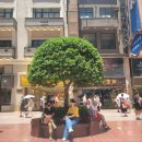 동네지물장식 | [해외여행/아시아] 중국 상하이 3박4일 자유여행 3,4일차 - 신세계백화점, 헤이티, 릴리안 베이커리...