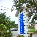 일곱번째 고양이 펜션 | 차니지여행_ 태안 일곱번째 고양이 펜션 방문 후기 / 퍼플방에서 핑크방 / 태안 안면도 가족여행 / 꽃지...