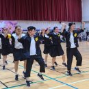 전국 라인댄스 마라톤 대회 및 썸머댄스 페스티벌 후기 (사)한국스포츠문화예술협회