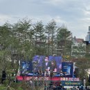 하루포항