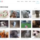 펫119 네이버블로그