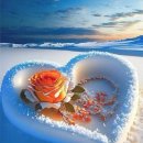 멋진 장미꽃을 보려면 가지를 쳐라 이미지