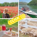 가평(서울방향)휴게소 파리바게뜨