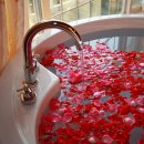 힐마레펜션 이미지