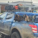 초장주유소 이미지