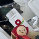 카페;사계절