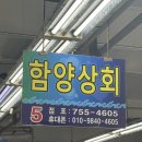 함양-5 | 광안리맛집 부산횟집 민락타운 판매시장 5번 함양상회 회포장 솔직 후기