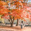 온양4동 실옥로 | 아산 가을 나들이 반나절 코스 # 곡교천은행나무길, 전망대 아산그린타워, 현충사