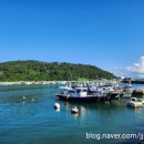 정아횟집 이미지