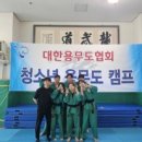용인대 동양합기도 네이버블로그