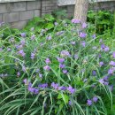 토종농장 이미지