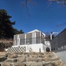 망고 애견 이미지