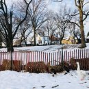 사랑온약국 이미지