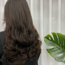 김쌀롱 | 안산 미용실 방문 후기:) 살롱드김 1호점