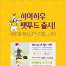 하이원펫클럽 이미지