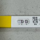 벌써 임신 30주 그동안의 임신일기 🤰🏻- 효성병원 🤍