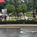 초안산 수국축제 가는 길 주차 수국동산 개화현황 후기