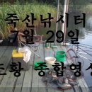 죽산 낚시터 이미지