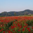 상곡소류지 이미지