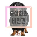 이웃집 동물병원 이미지