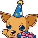 애견종합병원 이미지