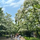 경상남도 수목원 | 날씨 좋은 날에는 피크닉🥐🥤🌿🌲 | 경상남도수목원 나들이 후기