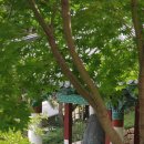 서라벌상사(나들가게) | 구미 가볼만한곳 구미 도리사 전망대의 고즈넉한 풍경