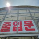 궁평항수산물직판장 | 화성여행 궁평항 수산물 직판장 내돈내산 솔직후기