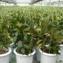 유진2농장 이미지