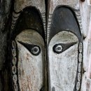 뉴태평양 이미지