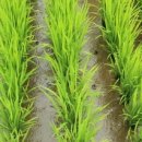 열림교회 이미지