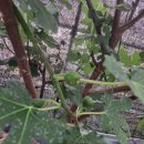 우애2농장 이미지