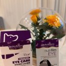 엔도펫 | 펫햄프 아이케어 나노필름