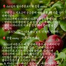 (주)사과나무 이미지
