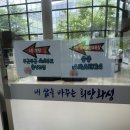 남성 노래교실 | 동탄 보건소 아기 마사지 “아빠와 함께하는 쏭쏭 베이비마사지“ 무료 강좌 체험 후기