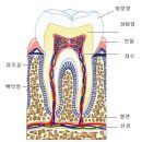 이(e)-밝은치과의원 이미지